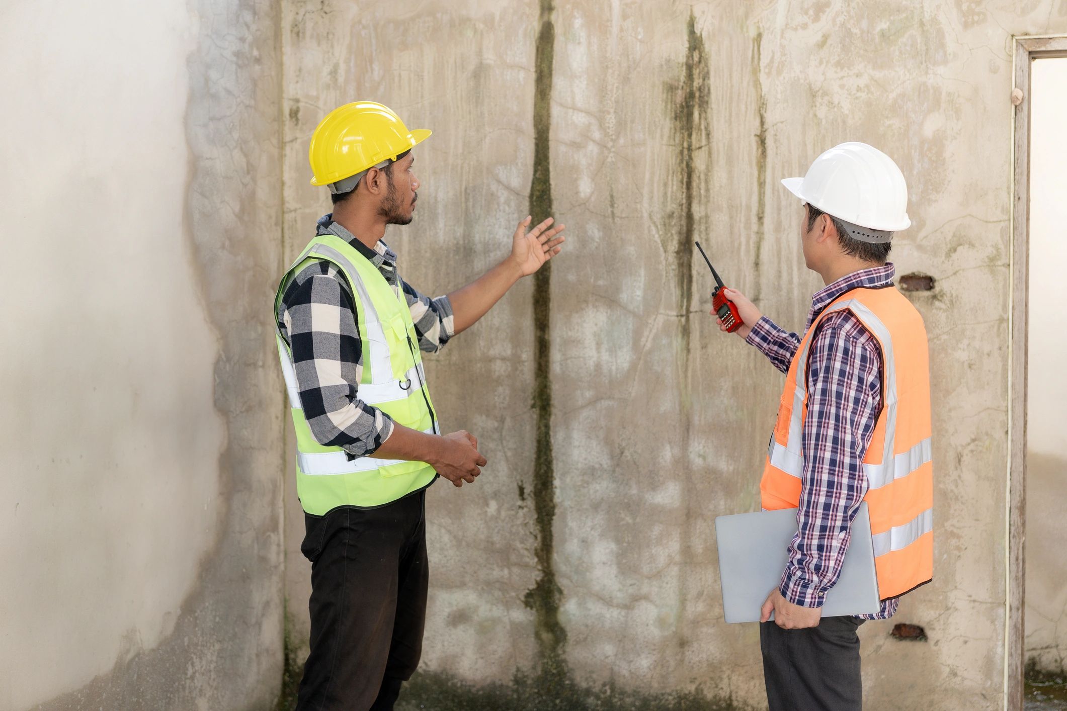 Engineers assessing damp wall