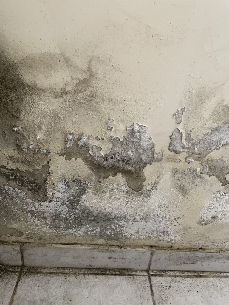 Air Ventilation
