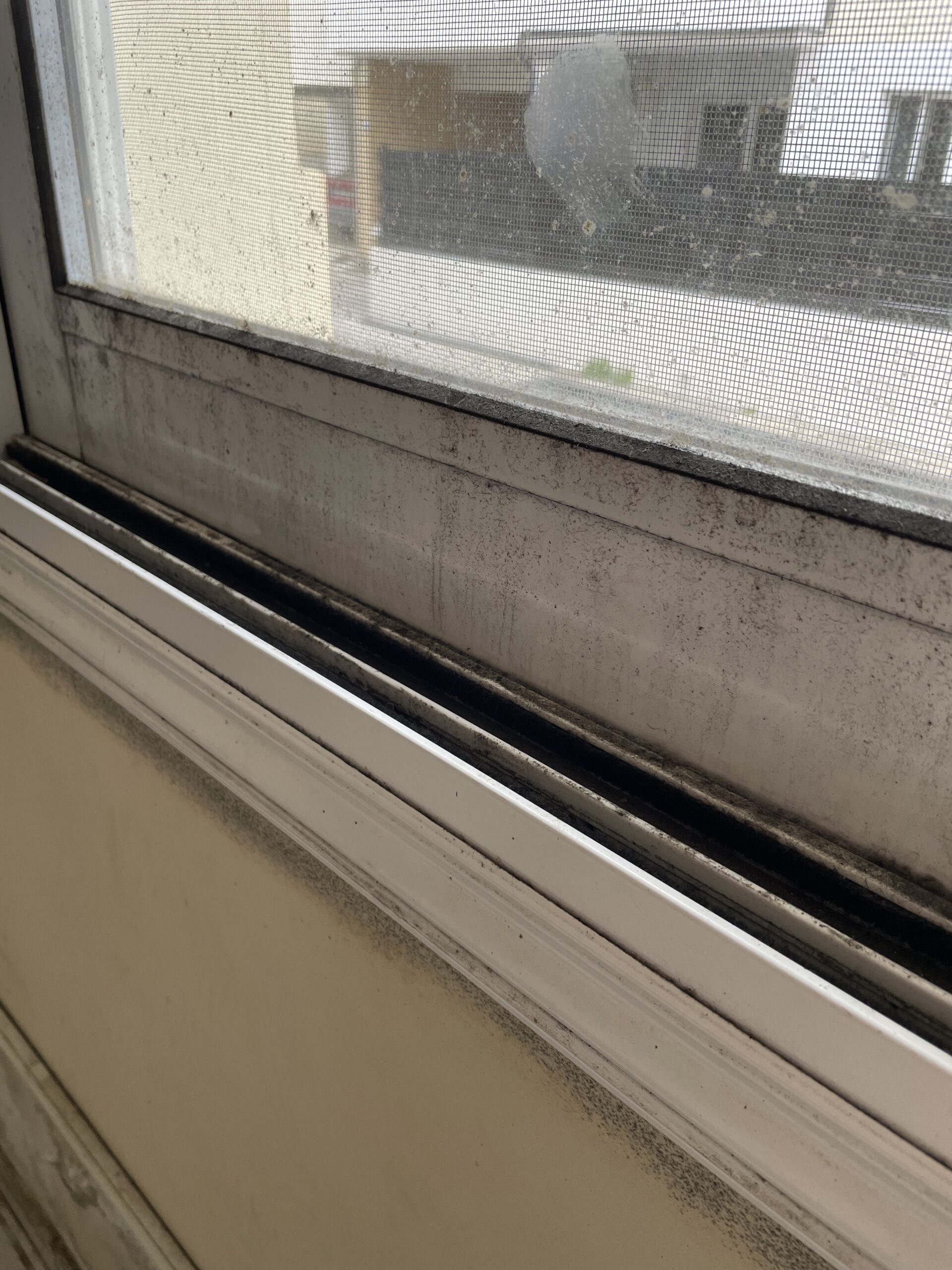 Window with condensation